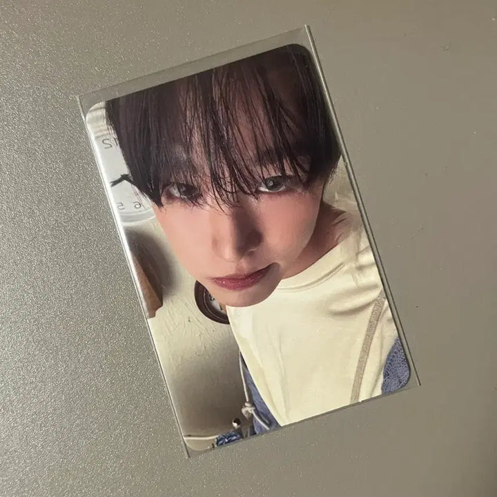 [BUNJANG] NCT Wish Riku Odd to Love Photocard / nct wish 엔시티위시 오드투러브 패키지 리쿠 포토카드