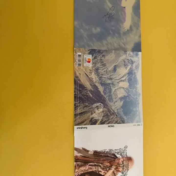 [SOLD OUT] 신지항 개봉 농 cd팝니다 세세한 사진은 문의주시면 다 찍어서 보내드립니