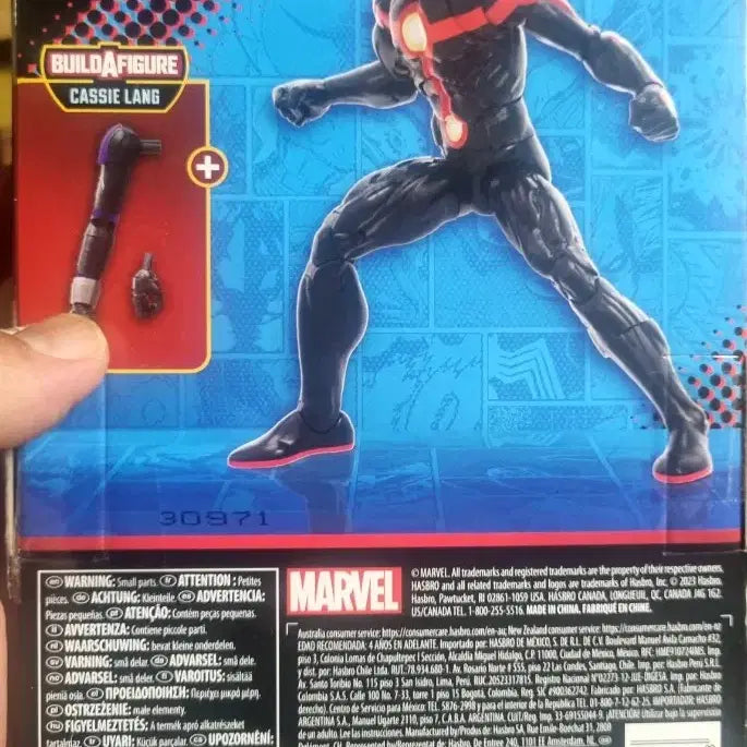 [BUNJANG] Marvel Legends Future Ant-Man Action Figure / 마블레전드 퓨처앤트맨(바프없음)