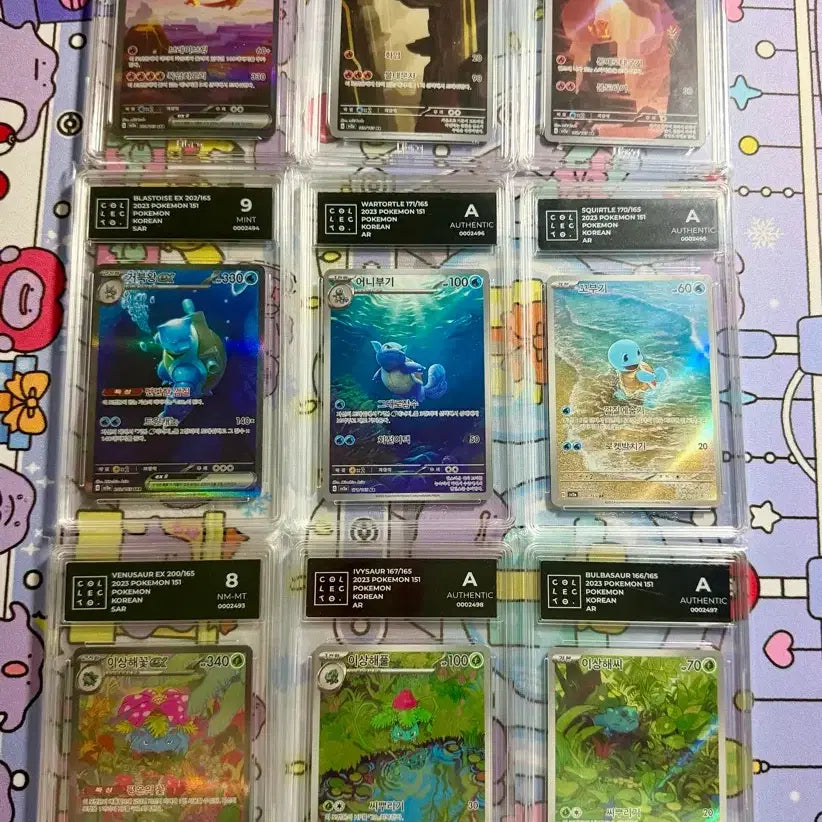 [SOLD OUT] 포켓몬 카드 151 리자몽,거북왕,이상해꽃 sar 일괄 판매