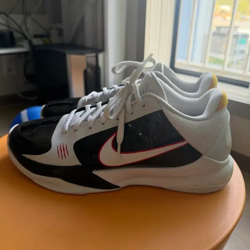 [SOLD OUT] 코비5 얼터네이트 브루스 리