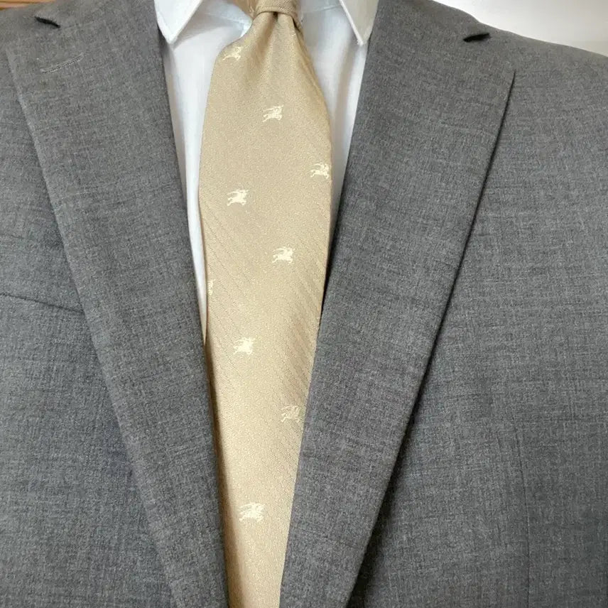 [BUNJANG] Hermes, Burberry, Ferragamo, Balmain Tie / 애르메스 버버리 페레가모 발망 넥타이 팝니다.