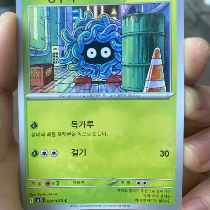 [SOLD OUT] 포켓몬카드 덩쿠리
