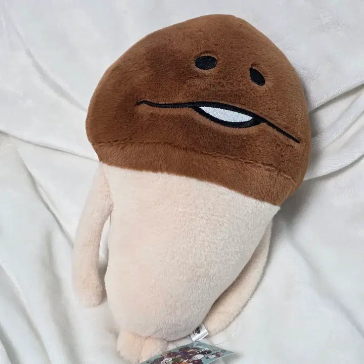 [BUNJANG] Nameko Medium Plush Doll / 나메코 중형인형