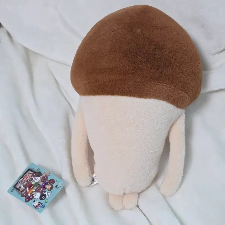 [BUNJANG] Nameko Medium Plush Doll / 나메코 중형인형