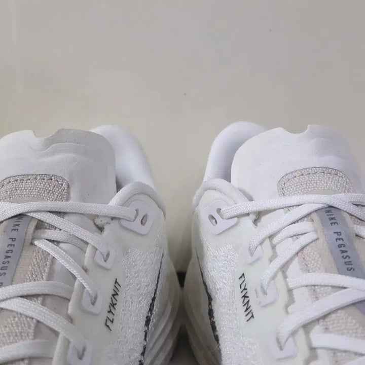 [BUNJANG] Nike ZoomX Pegasus Plus Running Shoes / [275] 나이키 줌X 페가수스 플러스 세일오레우드화이트