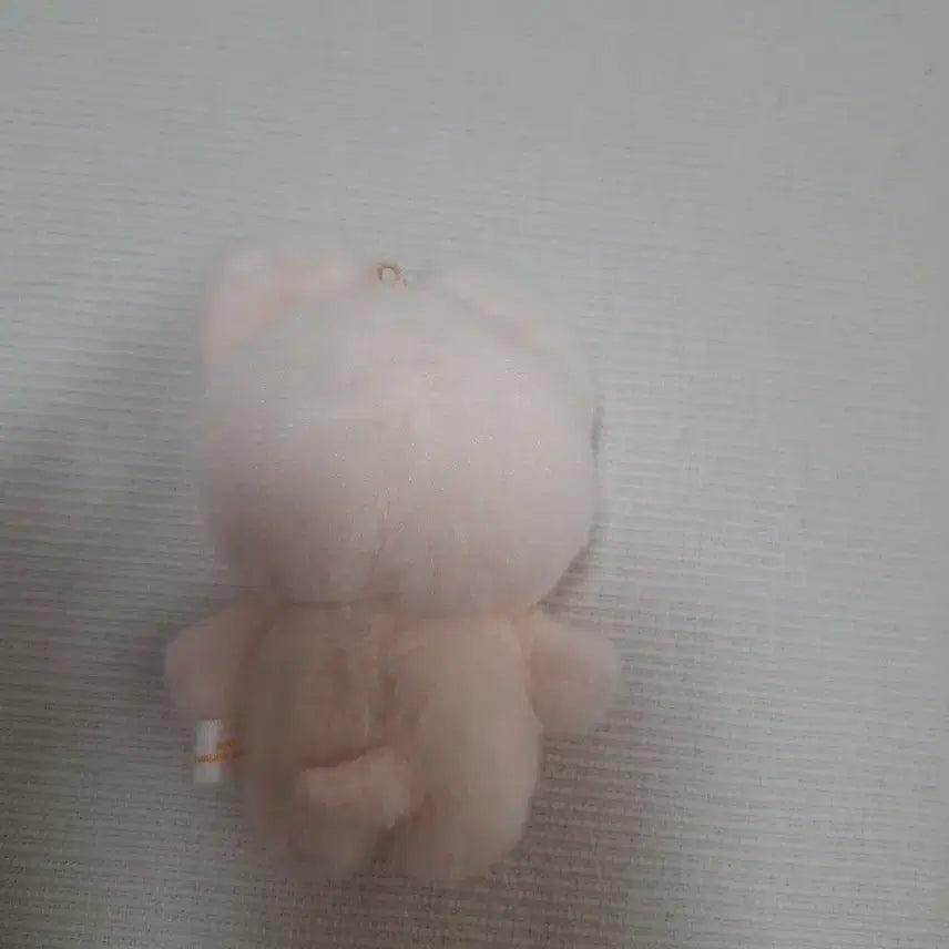 [SOLD OUT] 스키즈 10cm폭시니
