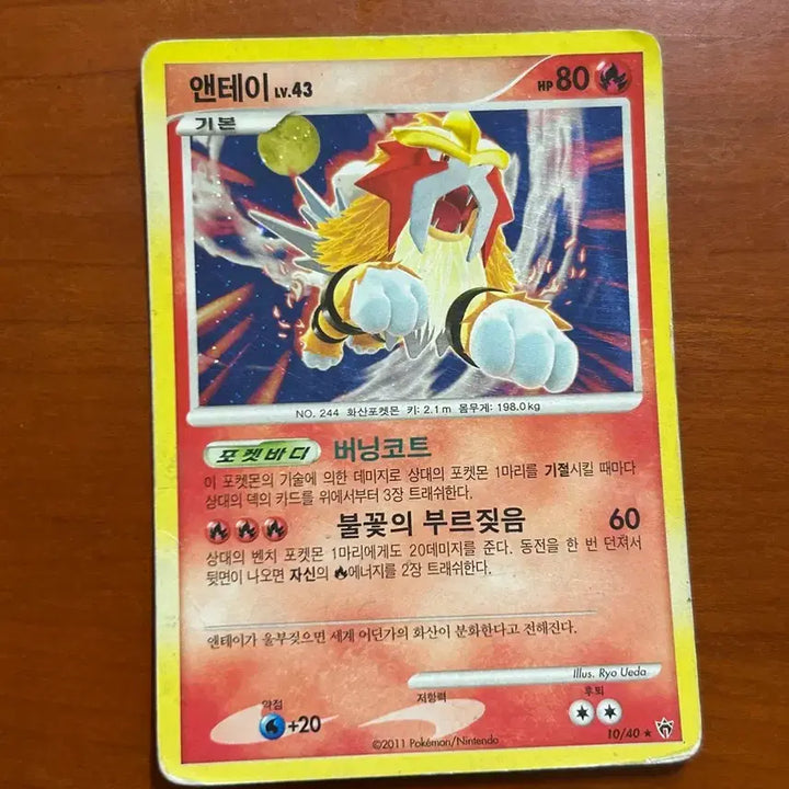 [SOLD OUT] 포켓몬 고대 카드 앤테이 dp