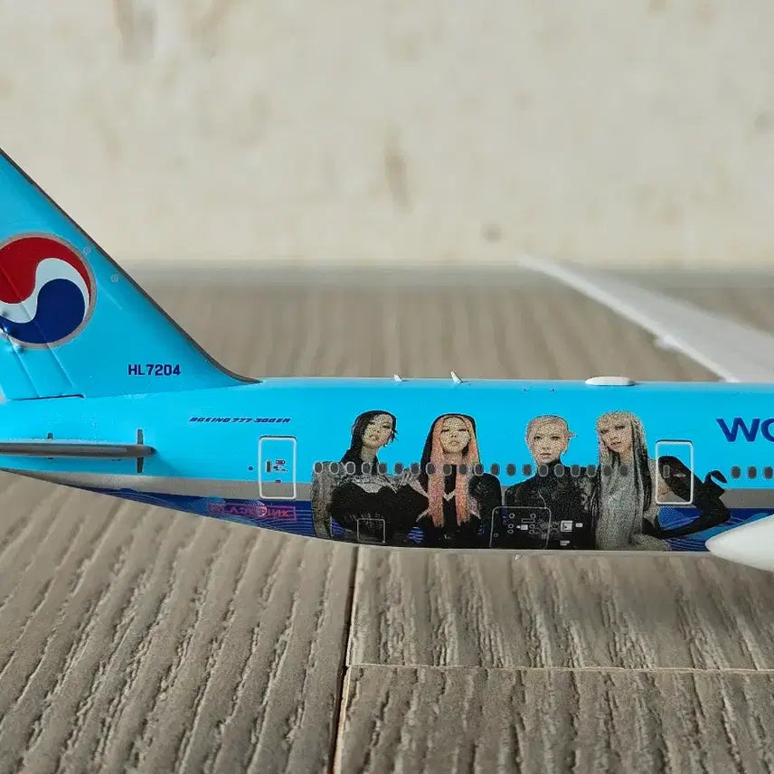 [BUNJANG] Korean Air Blackpink Livery Airplane Model / 대한항공(블랙핑크 도장)비행기모형 판매합니다