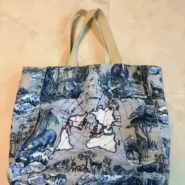 [BUNJANG] Dior World Map Pattern Eco Bag / 디올 Dior 에코백