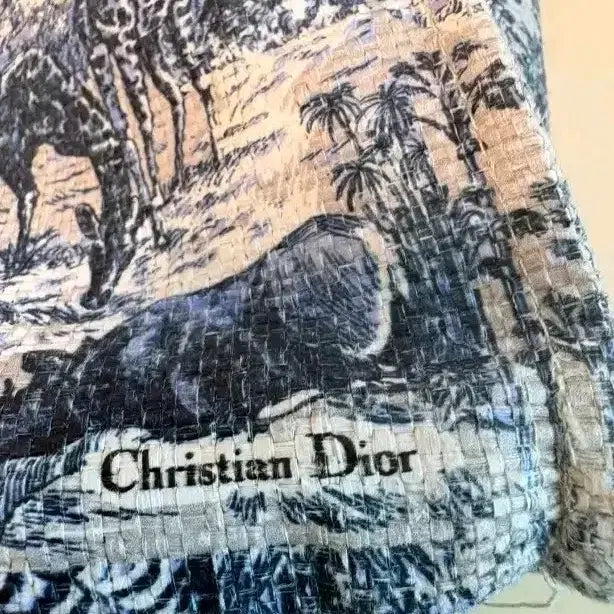 [BUNJANG] Dior World Map Pattern Eco Bag / 디올 Dior 에코백
