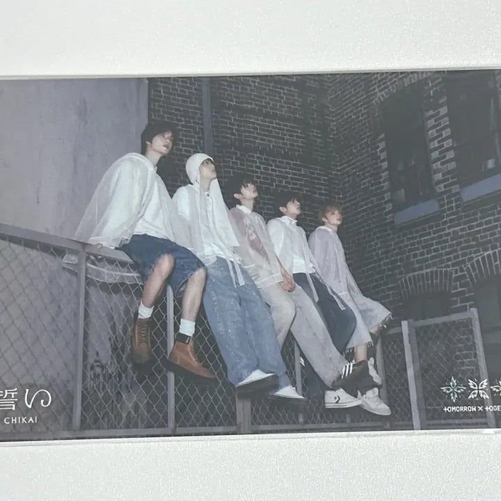 [BUNJANG] TXT Chikai POB Postcard / 투바투 CHIKAI 엽서
