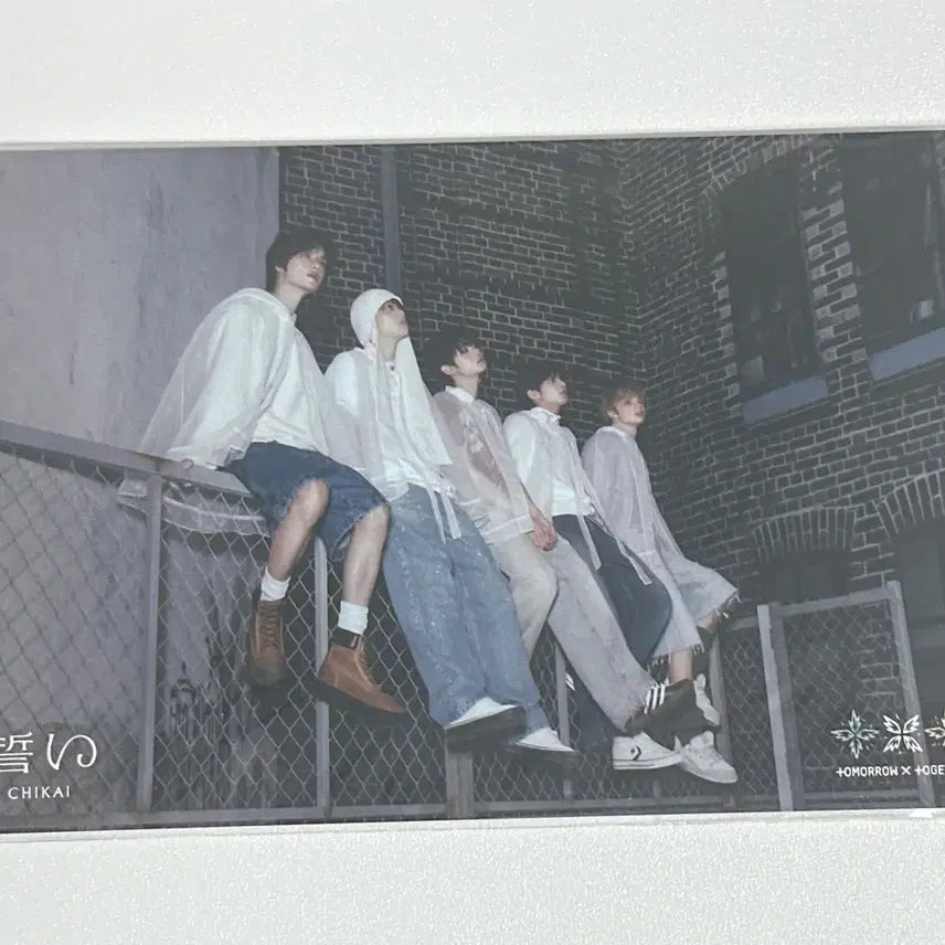 [BUNJANG] TXT Chikai POB Postcard / 투바투 CHIKAI 엽서
