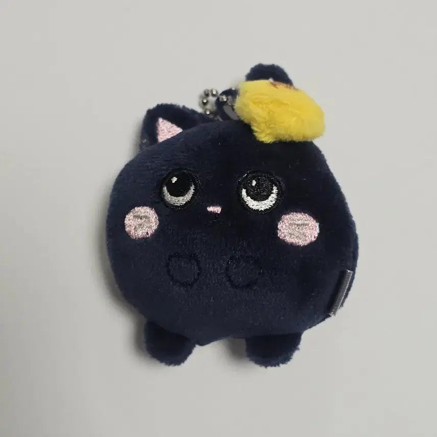 [SOLD OUT] 라이즈 원빈 미니 토냥덕 인형