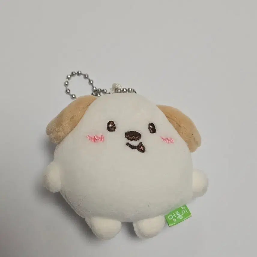 [SOLD OUT] 라이즈 앤톤 멍룡이 미니 인현