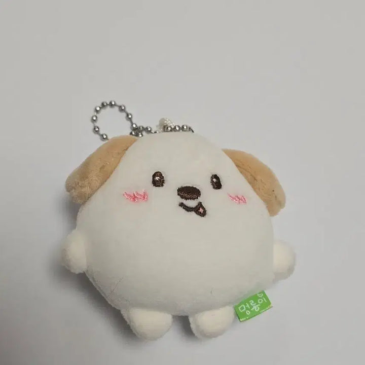 [SOLD OUT] 라이즈 앤톤 멍룡이 미니 인현