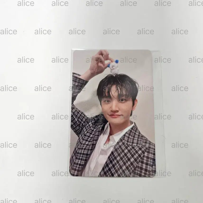 [BUNJANG] Lucy Band Jo Won Sang POB Photocard / 조원상포카 루시밴드 lucy 5만원이상왈왈이특전