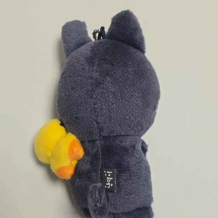 [BUNJANG] RIIZE Wonbin 1st TOUNYOURDOLL 10cm Doll / 라이즈 원빈 1기 토냥덕 10cm