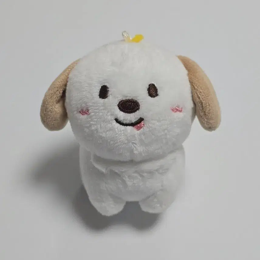 [SOLD OUT] 라이즈 앤톤 1기 멍룡이 10cm
