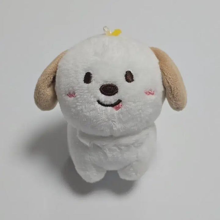 [SOLD OUT] 라이즈 앤톤 1기 멍룡이 10cm