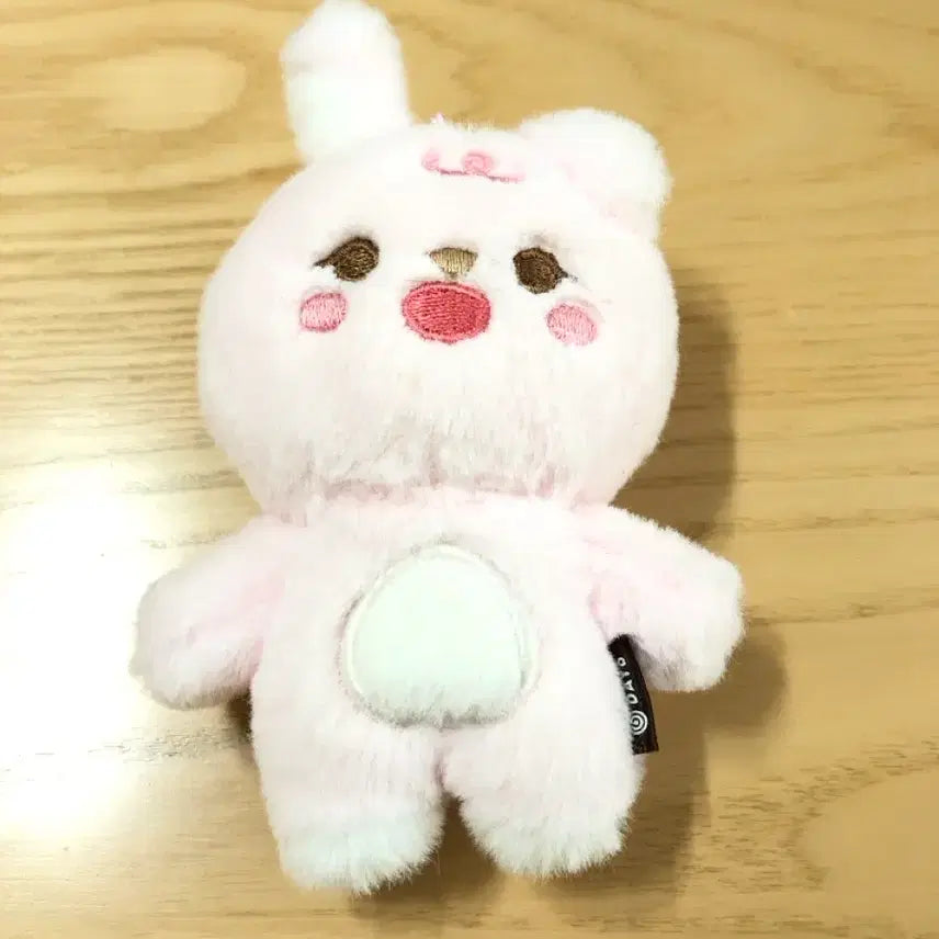 [BUNJANG] Petitmalz Day6 Phil Doll / 쁘띠멀즈 필 데이식스 인형