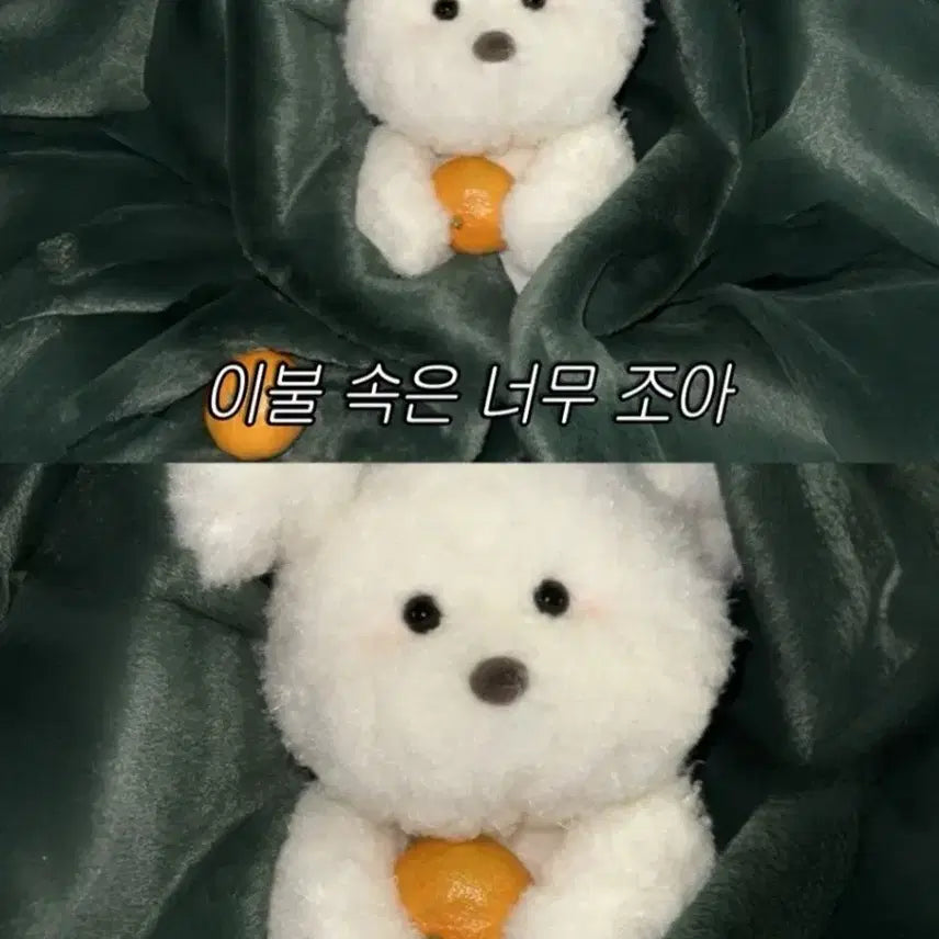 [BUNJANG] Cheloff Mongmo Bichon Frise Plush Toy (S) / 체로프 몽모 강아지 인형