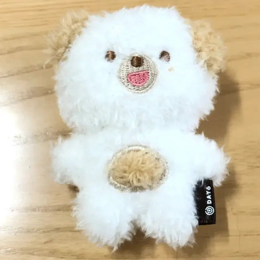 [SOLD OUT] 쁘띠멀즈 데이식스 도운 돈 마그넷