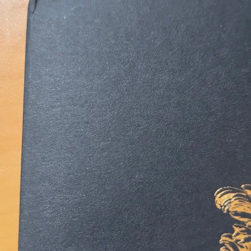 [SOLD OUT] 뮤지컬 팬텀 박효신 스페셜MD  포토북