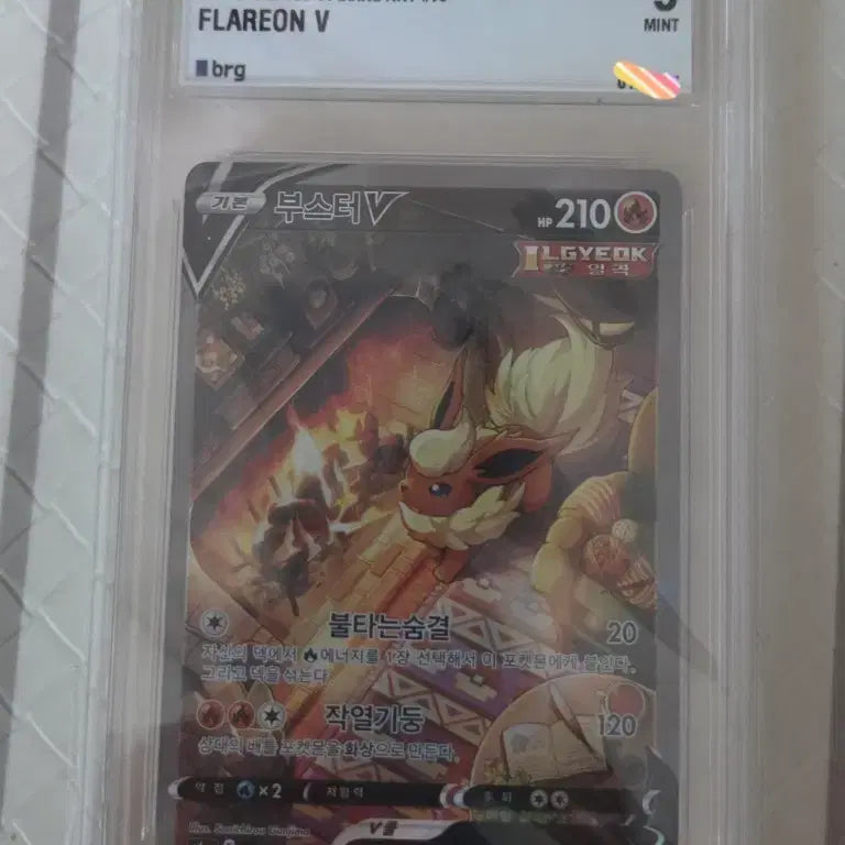 [BUNJANG] Eevee Heroes S6a Booster V SR (BRG9) Pokemon Card / 포켓몬카드 부스터v sr (brg9) 판매합니다