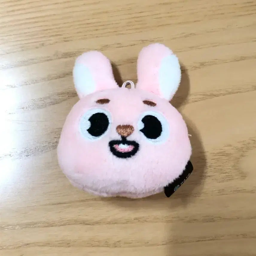 [SOLD OUT] 데이식스 데니멀즈 페이스키링 인형 필