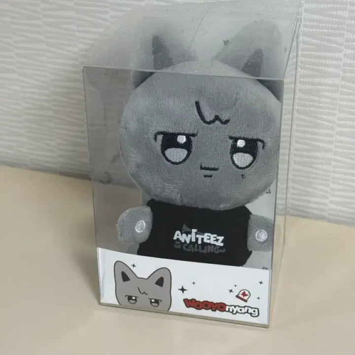 [BUNJANG] ATEEZ Wooyoung Doll &amp; Childhood Photo Keyring / 인터콜링 우영인형 (+우영이 어릴때 증사 키링)