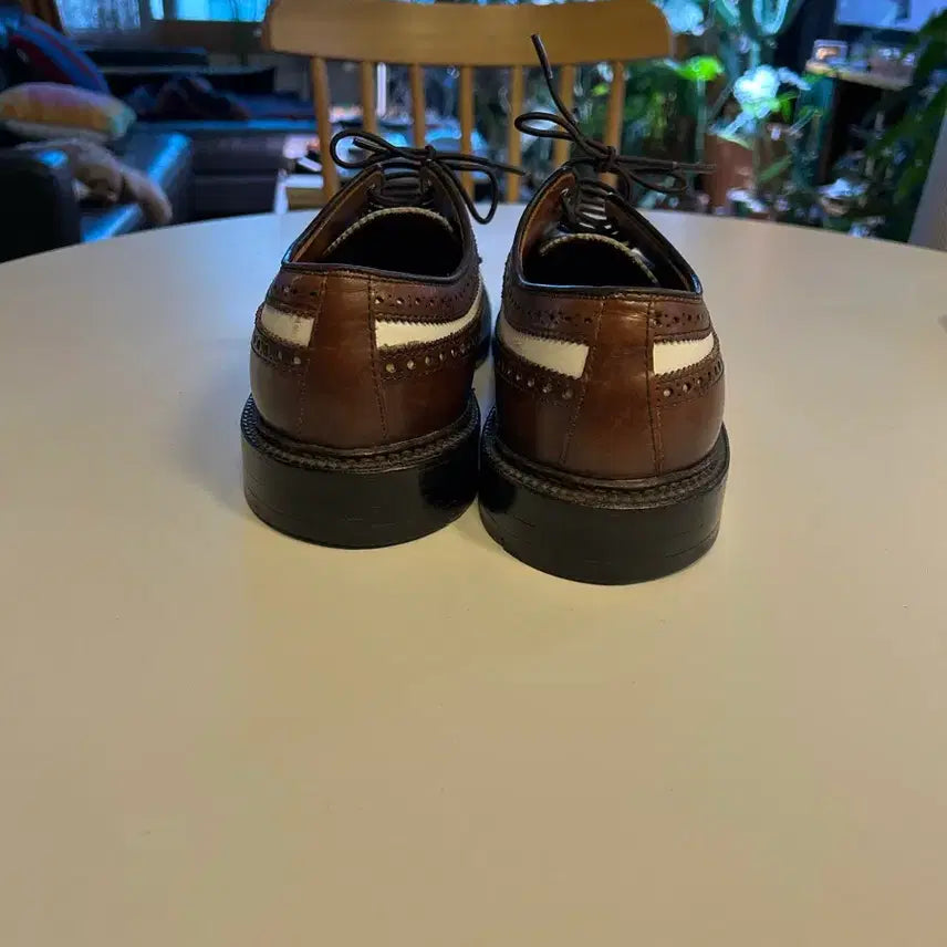 [BUNJANG] Alden Spectator Wingtip Shoes / 알든 윙팁 브라운/화이트 스펙테이터 size 7