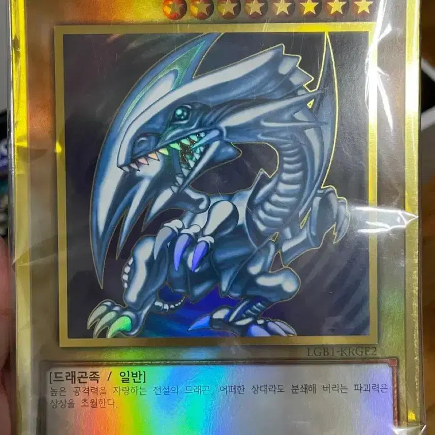 [BUNJANG] Yu-Gi-Oh! Blue-Eyes White Dragon &amp; Dark Magician Giant Premium Gold Rare Bundle Set / 유희왕 푸른 눈의 백룡, 블랙매지션 자이언트 프리미엄 골드 레어