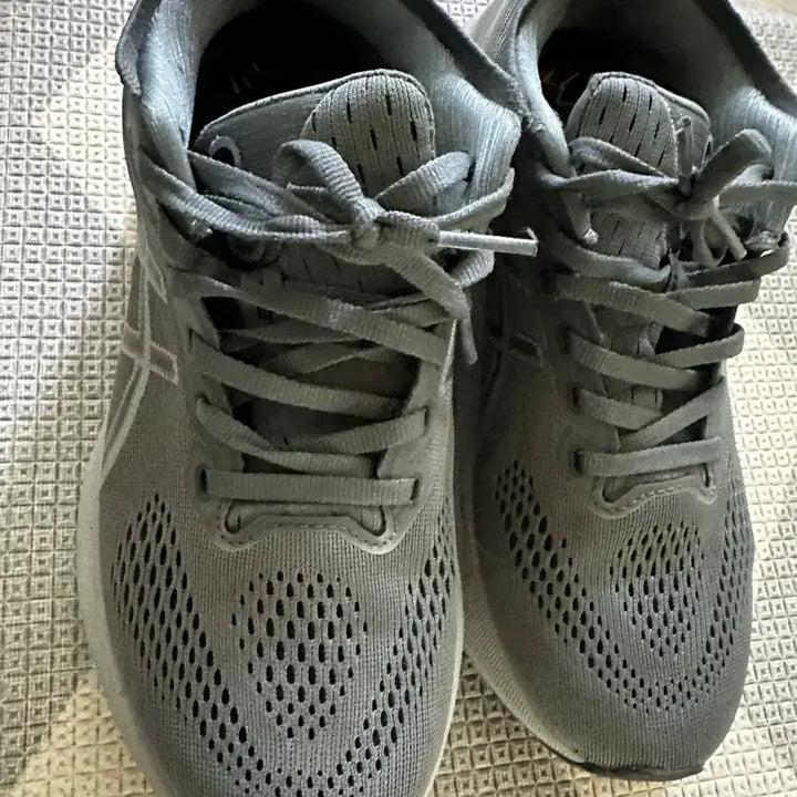 [BUNJANG] Asics Gel Kayano 31 Gray Sneakers / 아식스 젤 카야노 31 250사이즈 그레이