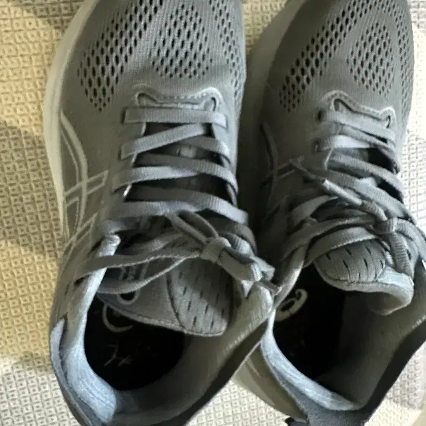 [BUNJANG] Asics Gel Kayano 31 Gray Sneakers / 아식스 젤 카야노 31 250사이즈 그레이