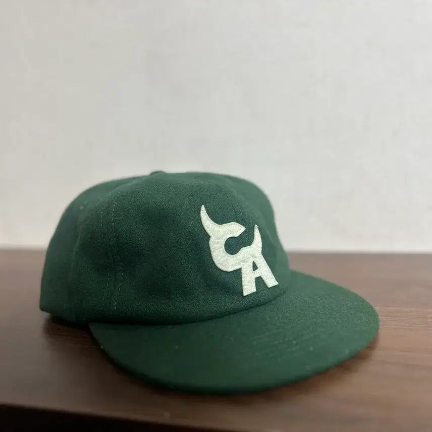 [BUNJANG] Tyler, the Creator Chromatica MD Hat / 타일러 더 크리에이터 크로마코피아 md 굿즈 모자