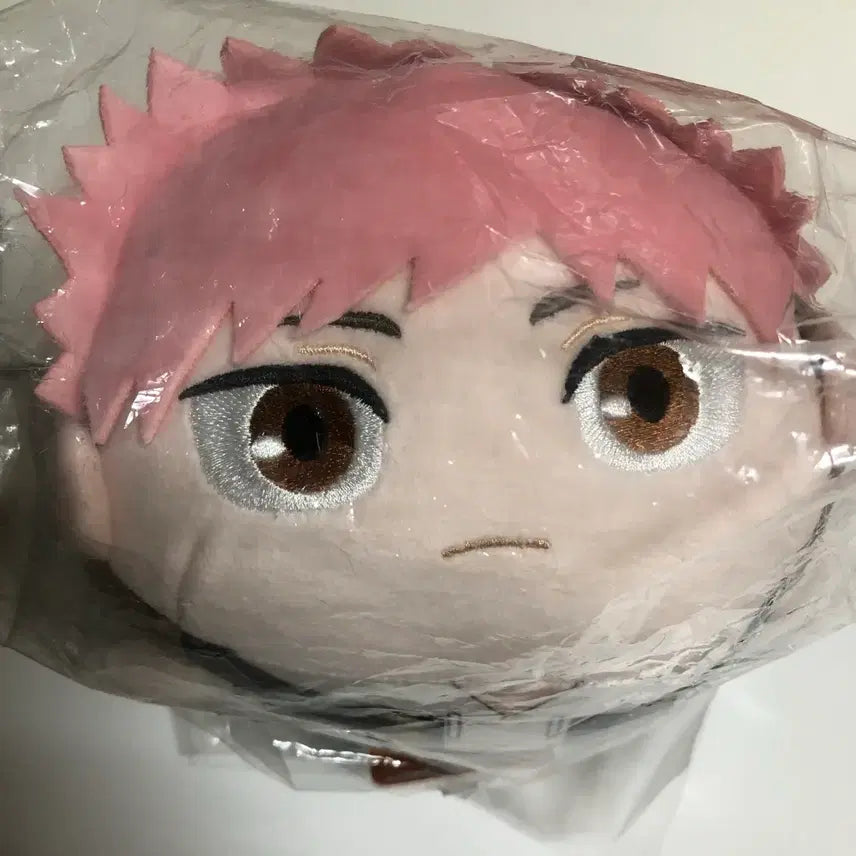 [BUNJANG] Jujutsu Kaisen Yuji Itadori Middle School Version PoteKoro Plush / 주술회전 이타도리 유지 중딩 버전 포테코로