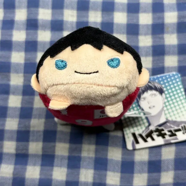 [BUNJANG] Haikyuu!! Kageyama Tobio National Team Noru Kyara Plush / 하이큐 카게야마 국가대표 노루캬라 국대 쯔무