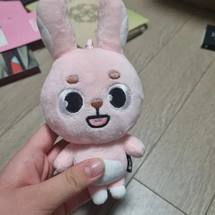 [BUNJANG] Day6 Denimalz 2024 Version Pillow / 데이식스 데니멀즈 2024버전 필끼