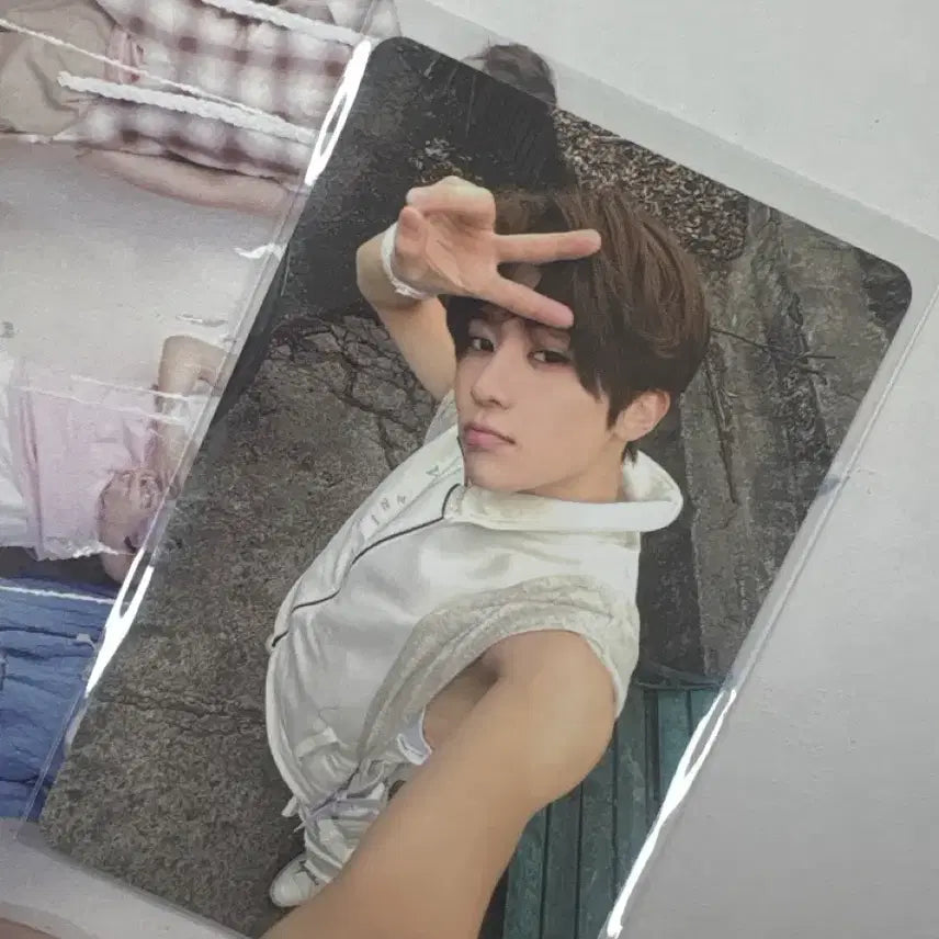 [BUNJANG] NCT WISH Sion Popup Photocard / 엔시티 위시 시온 팝업 5만원 포카