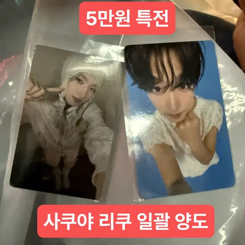 [SOLD OUT] (일괄) 오드투러브 위시 팝업 5만원 포카 특전 리쿠 사쿠야