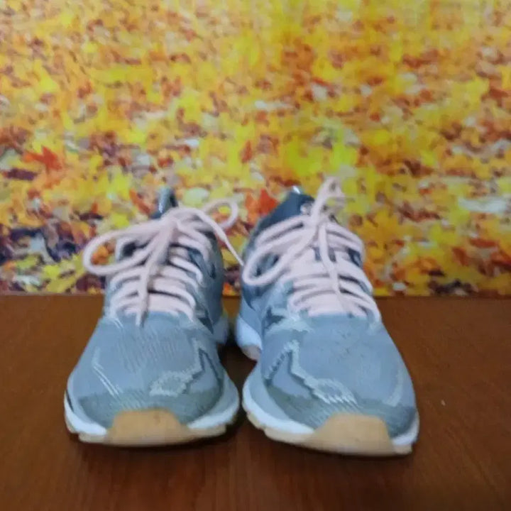 [BUNJANG] Asics Gel Nimbus 230 Running Shoes / 아식스 젤 님버스 230