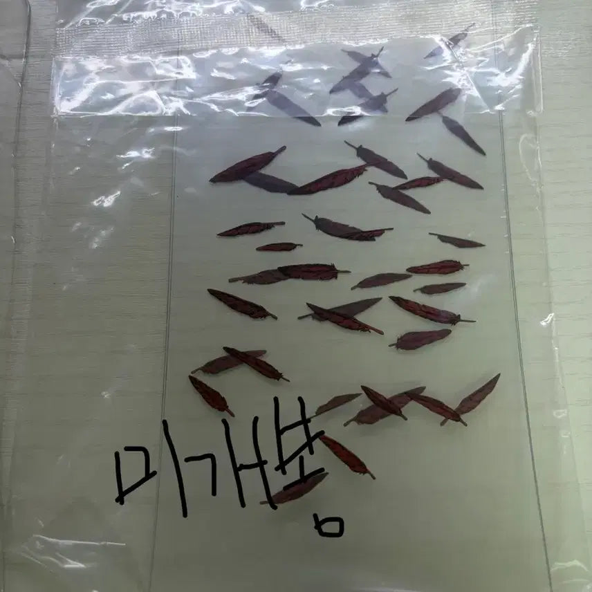 [SOLD OUT] 나히아 카이요도 리볼텍 호크스 파손품