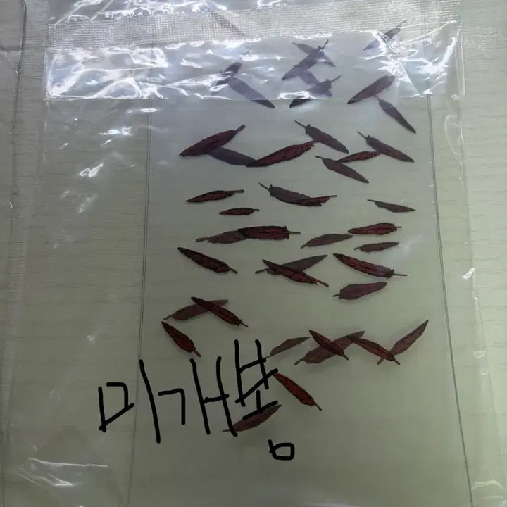 [SOLD OUT] 나히아 카이요도 리볼텍 호크스 파손품