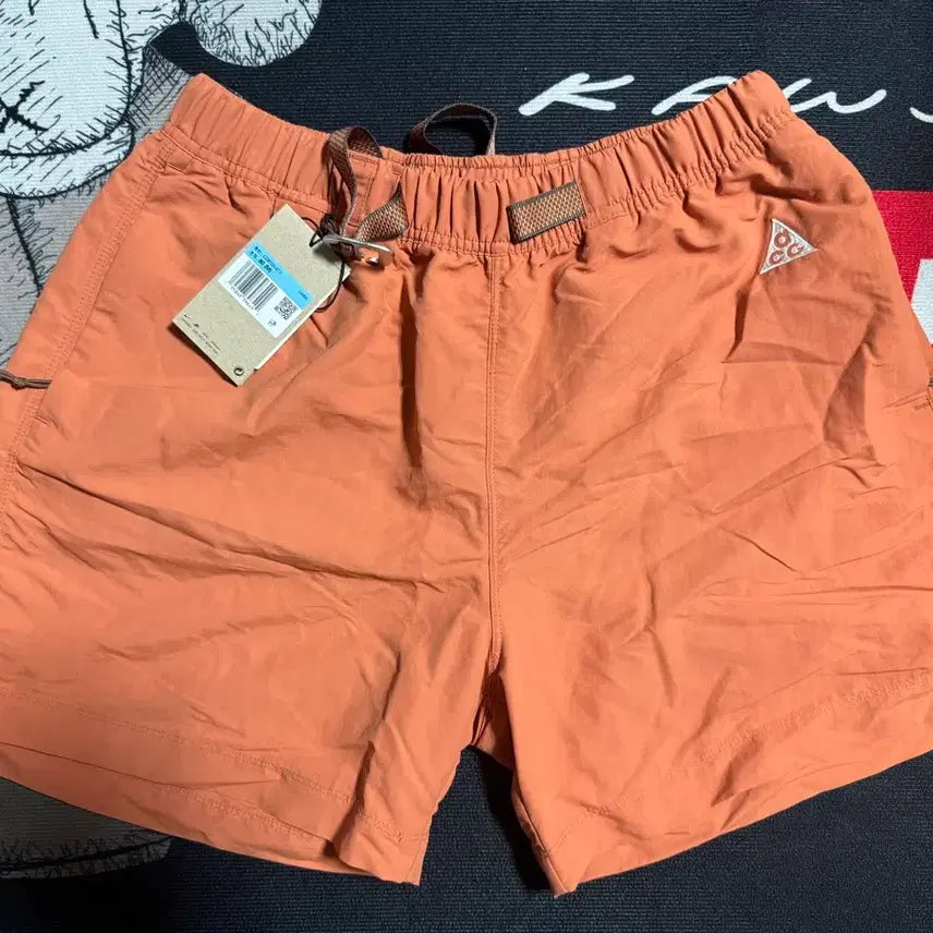 [BUNJANG] Nike ACG Trail Shorts M / 나이키 acg 트레일 쇼츠 반바지
