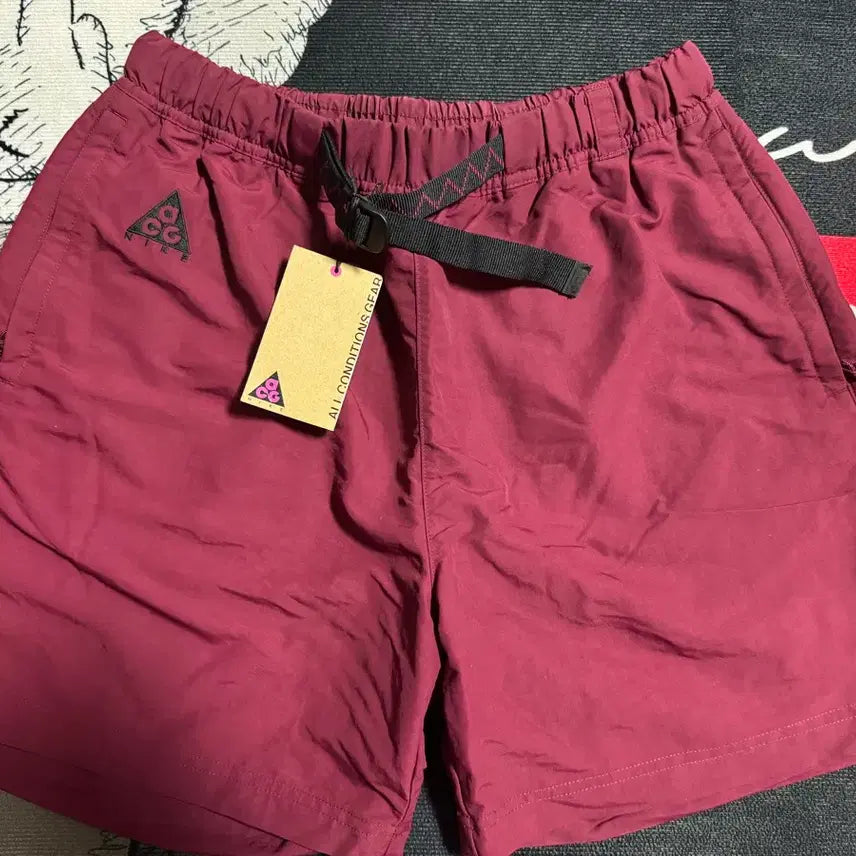 [BUNJANG] Nike ACG Woven Shorts Dark Beetroot / 나이키 ACG 우븐 쇼츠 다크 비트룻 - 아시아