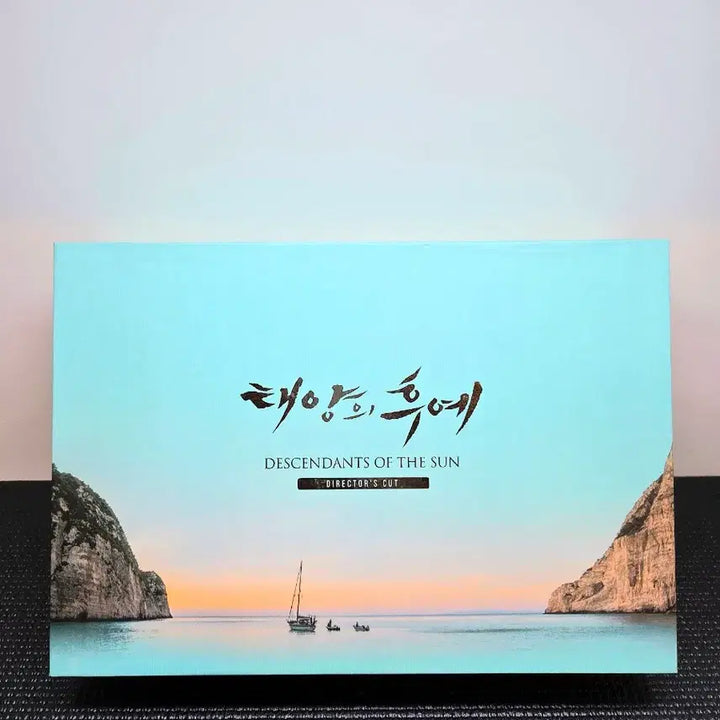 [BUNJANG] Descendants of the Sun Director&