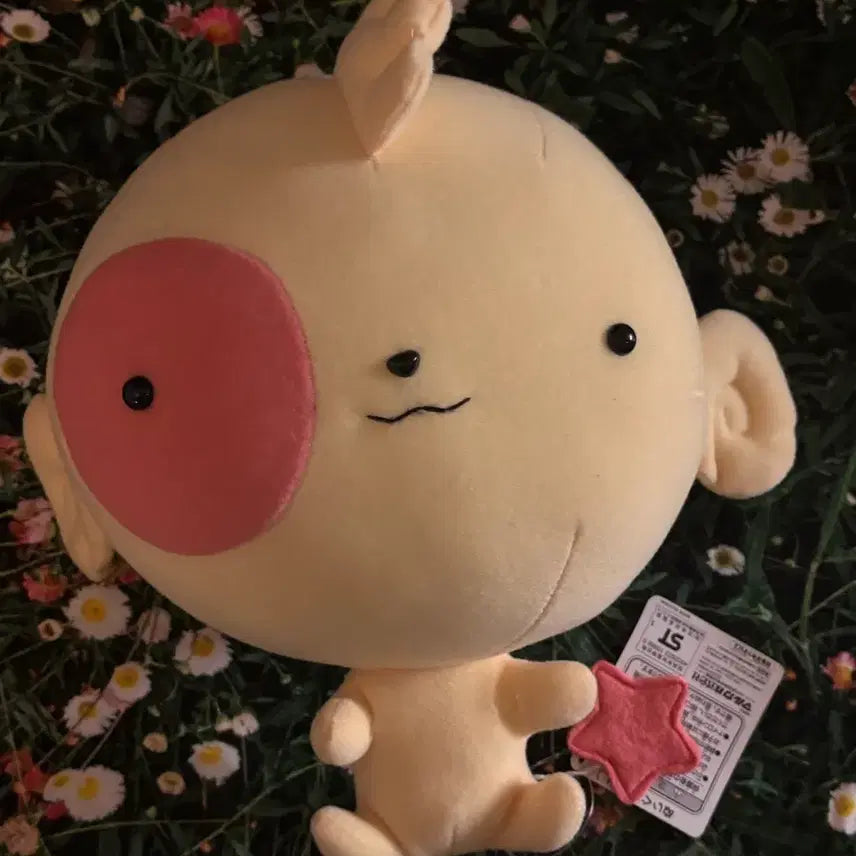 [BUNJANG] Star Fairy Kkomi Doll / 별나라요정코미인형