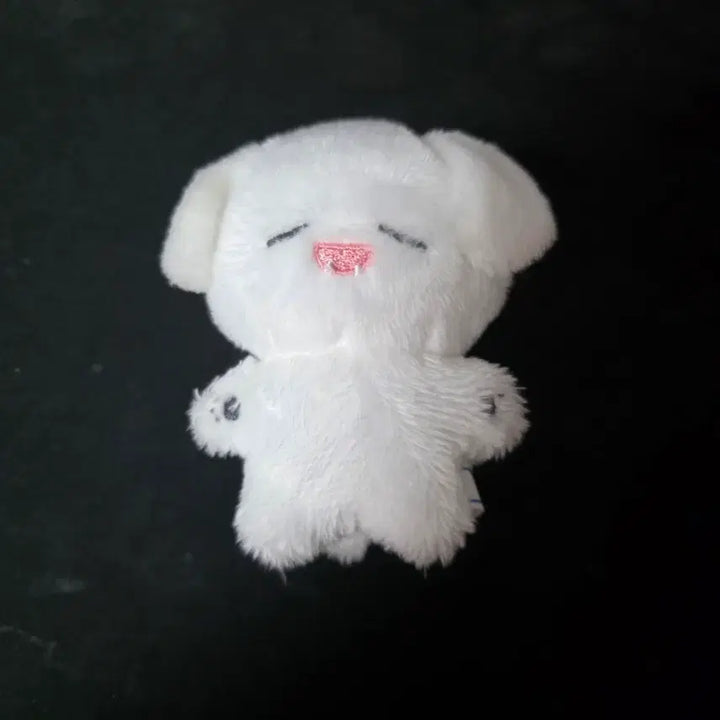 [BUNJANG] Infinite Nam Woohyun 10cm Doll Mangmanghyeon / 인피니트 남우현 10cm 인형 망망횬 양도