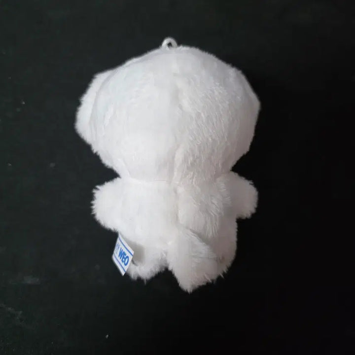 [BUNJANG] Infinite Nam Woohyun 10cm Doll Mangmanghyeon / 인피니트 남우현 10cm 인형 망망횬 양도